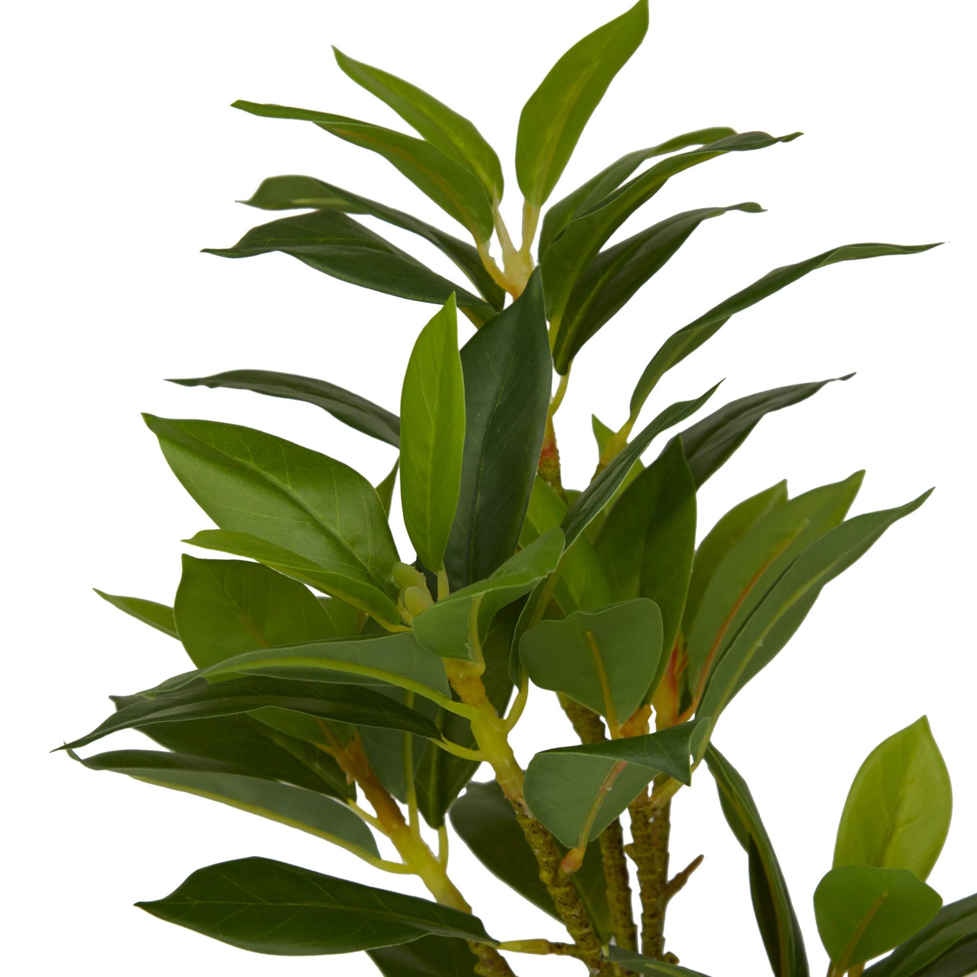 16" Potted White PVC Coastal Evergreen Artificial Foliage